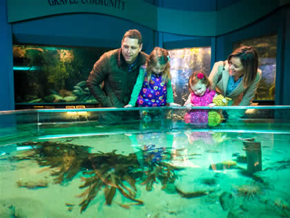 Exploris Aquarium Portaferry