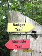 Trail Markers
