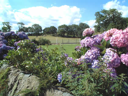 Self-Catering Cottages Northern Ireland Barnwell Farm Cottages